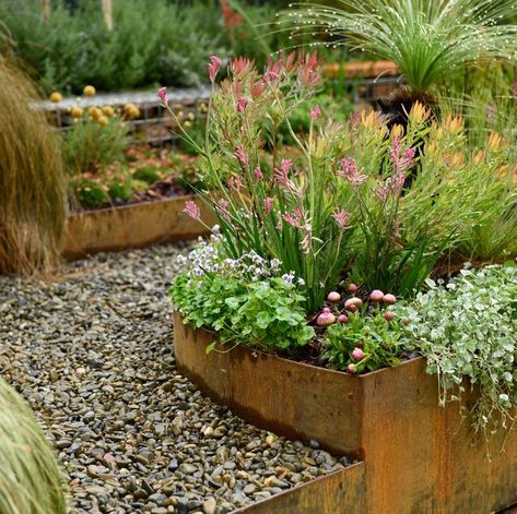 SHAPESCAPER on Instagram: "What a beautiful use of our edging in this garden "A Place for Us" designed by Emma Sheppard-Simms presented by @opengardensvictoria for the #melbourneflowerandgardenshow!! #planterbeds #shapescaper #gardenedging #garden #landscaping #REDCORSteel #gardendesign #steelproducts #steelplanterbox #australianmade #australianmanufacturing #shapescapersteel #gardenbed #mifgs" Rusted Planter Boxes, Rust Garden Edging, Metal Garden Edging, Steel Garden Edging, Steel Edging, Raised Garden Planters, Planter Beds, Custom Planters, Garden On A Hill