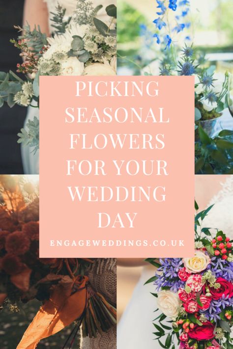 Picking seasonal flowers for your wedding day — Engage Weddings February Wedding Flowers In Season, August Flowers In Season, August Flower Bouquet, February Wedding Flowers, March Wedding Flowers, Flowers In Season, Marsala Flowers, August Flowers, Fresh Wedding Flowers