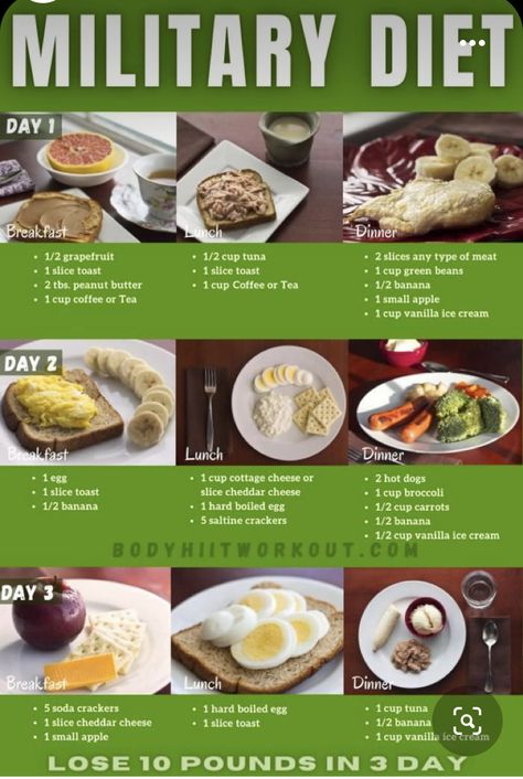 Diet To Lose 10 Pounds, The Egg Diet, 3 Day Military, Egg Diet Plan, Effective Diet, Boiled Egg Diet, Lose 10 Pounds, Makanan Diet, Egg Diet