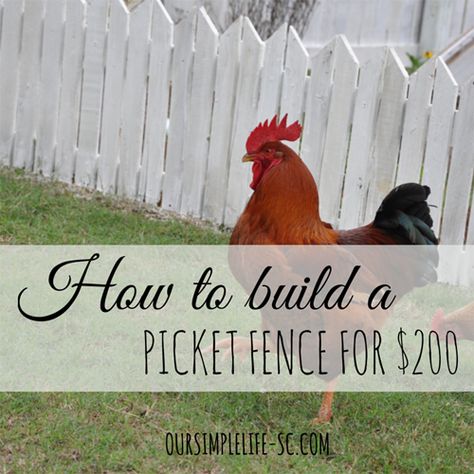 Building a picket fence is a lot cheaper than you think. Construct one for your property for only $200. Potting Ideas, Patio Retreat, Wood Picket Fence, Picket Fences, Cheap Fence, Pallet Fence, Fence Screening, Diy Fence, Building A Fence