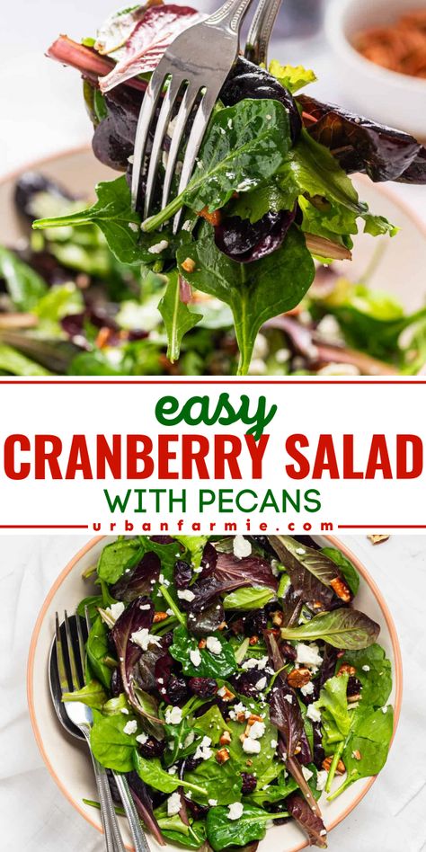 This easy cranberry salad with pecans is a protein-packed delight that is perfect as a side salad, light lunch, or to add to your holiday table. With tangy goat cheese, sweet cranberries, crunchy pecans, and a zesty dressing, this flavorful salad is a crowd-pleaser that's ready in just 10 minutes. Cranberry And Walnut Salad, Cranberry Walnut Feta Salad, Spinach Cranberry Walnut Salad, Salad With Craisins Recipes, Salad Recipes With Cranberries, Easy Cranberry Salad, Salad With Cranberries And Pecans, Cranberry Pecan Salad, Pecan Salad Recipe