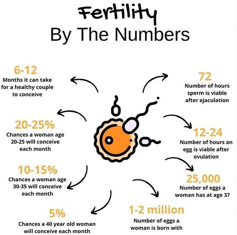 Conceive Month, Ttc Trying To Conceive, Fertility Vitamins, Help Getting Pregnant, Pregnant Tips, Ovulation Cycle, Getting Pregnant Tips, Fertility Nutrition, Pregnancy Facts