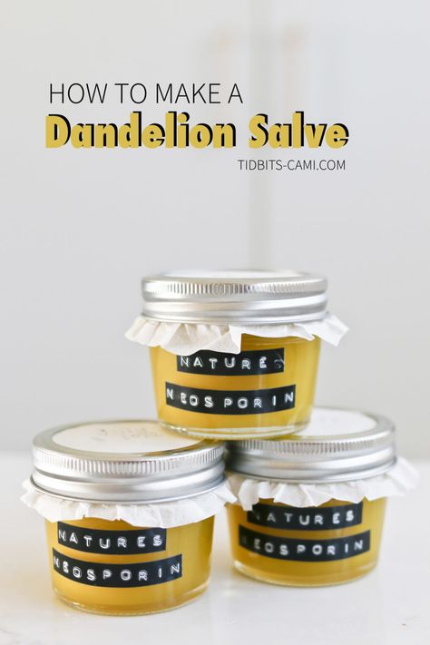 Dandelion Salve, Dandelion Oil, Tinctures Recipes, Medicinal Herbs Garden, Salve Recipes, Medical Herbs, Loose Leaf Teas, The Dandelion, Plant Medicine