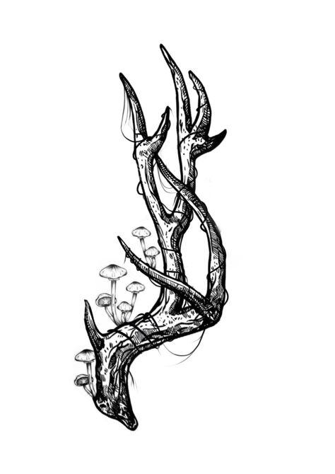 Deer Skull Front View, Deer Forearm Tattoo, Two Headed Deer Tattoo, Deer Skull Tattoos For Women, Hag Tattoo, Animal Bones Tattoo, Winter Tattoo Ideas, Deer Antler Tattoos, Deer Skull Drawing