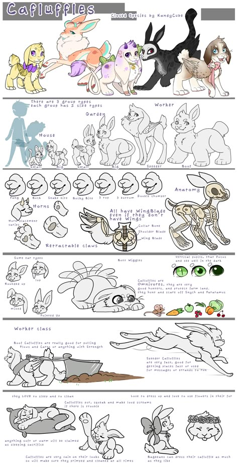 Made Up Species Drawing, Original Species Reference Sheet, Open Species Reference Sheet, Candy Animals, Fursona Ref Sheet, Open Species, Original Species, Closed Species, Cute Fantasy Creatures