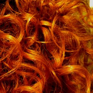 Curly Red Head Aesthetic, Curly Orange Hair Aesthetic, Fire Hair Aesthetic, Curly Redhead Aesthetic, Curly Red Hair Aesthetic Faceless, Curly Red Hair Aesthetic, Orange Hair Aesthetic, Wild Red Hair, Fire Red Hair