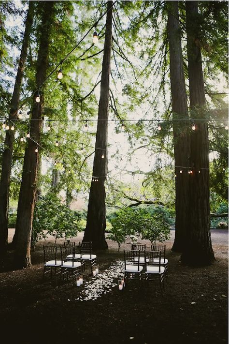 17 Elopement Ideas: Simple ceremony decor Yosemite Wedding, Wedding Beach Ceremony, Elopement Ceremony, Elopement Ideas, Wedding Ceremony Decorations, Forest Wedding, Ceremony Decorations, Romantic Weddings, Napa Valley