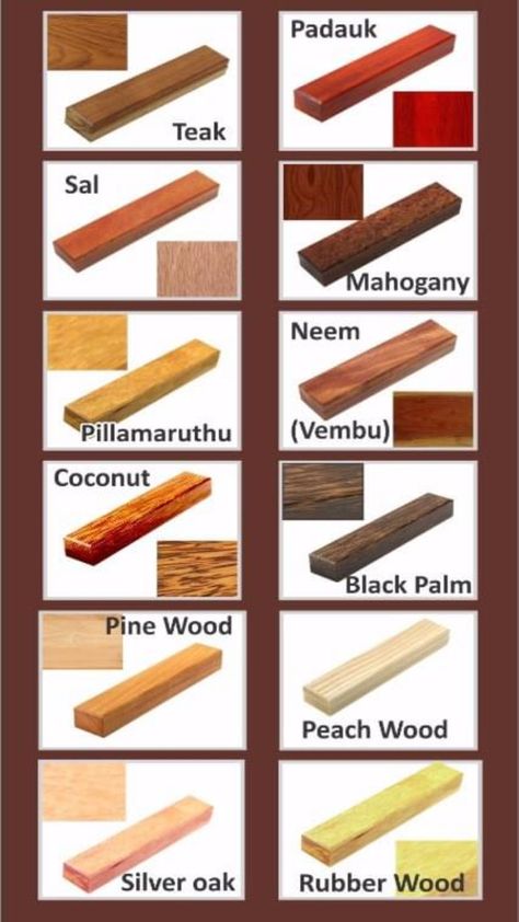 Wooden Planks and Runners, Hard Woods, Soft Woods Suitable For Wood Working. Annai Sawmill Deals With  all Types of Woods For More Details Call: 8610363657 Wood Species Chart, Species Ideas, Type Chart, Saw Mill, Jaali Design, Sawn Timber, Coconut Wood, Wood Names, Oak Planks