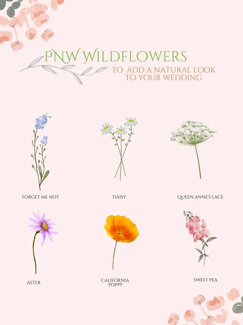 Wild Flowers Names, Wild Flowers Types, Wildflowers And Their Meanings, Wild Flower Types, Types Of Wildflowers Names, Wildflower Types, Wildflower Names, Pnw Wildflowers, Washington Flowers