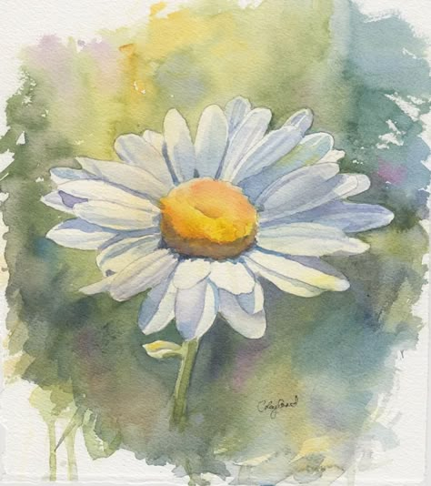 Daisy watercolor by Candice Leyland Daisy Watercolor, Daisy Drawing, Kitchener Ontario, Daisy Art, Daisy Painting, Watercolour Inspiration, Watercolor Projects, Watercolor Sketchbook, Watercolor Flower Art