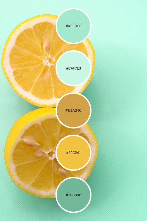 Use this color palette/color combo for inspiration on your next project! #colorpalette #colorcombos #lemon #mint #summerstyle Mint Color Palette, Mint Color Schemes, Yellow Kids Rooms, Mint Color Palettes, Lemon And Mint, Color Plan, Color Schemes Colour Palettes, Lemon Mint, Brand Color Palette