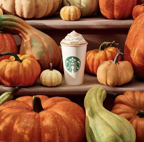 Pumpkin Spice Hot Chocolate Recipe, Crock Pot Hot Chocolate Recipe, Pumpkin Spice Hot Chocolate, Spice Hot Chocolate, Chocolate Branding, Starbucks Hot Chocolate, Halloween Starbucks, Pumpkin Spice Drinks, Café Starbucks