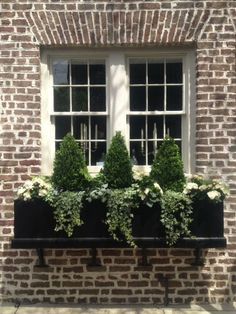 Winter Window Boxes, Christmas Window Boxes, Fall Window Boxes, Window Box Flowers, Lucy Williams, Window Planters, Winter Window, Window Planter Boxes, Design Blogs