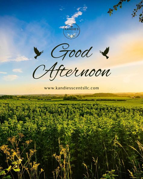 🌿 Good Afternoon, Happy Sunday! 🌿 Take today to rest, reflect, and recharge for the week ahead. Enjoy the peace and be ready to start a new chapter tomorrow! 🌼 #GoodAfternoon #SundayVibes #RestAndRecharge #SelfCareSunday #kandiesscentsllc Good Afternoon Happy Sunday, Good Afternoon, Be Ready, The Peace, New Chapter, Happy Sunday, To Start, Quick Saves