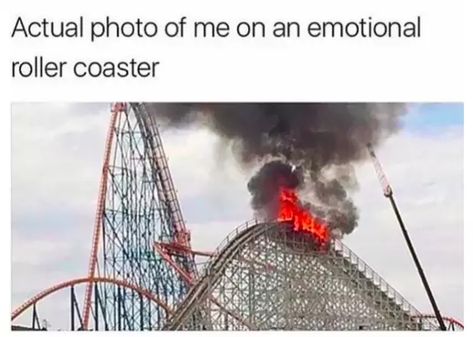 Health Memes, Emotional Rollercoaster, E Card, What’s Going On, On Fire, Roller Coaster, Bones Funny, Funny Cute, That Way