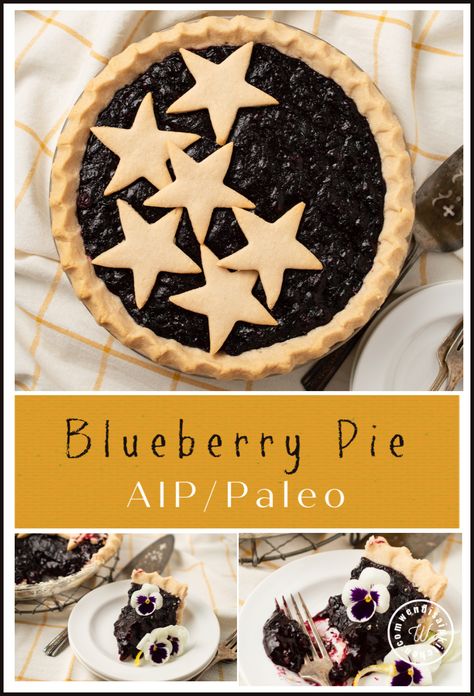 This Blueberry Pie is low on the sugar meter (only 1/4 cup honey for the whole pie), and pretty darn yummy.  No one will know your filling is AIP/Paleo! Paleo Junk Food, Autoimmune Diet Recipes, Paleo Pie, Aip Baking, Grape Pie, Aip Desserts, Blueberry Pie Filling, Healthy Blueberry, Gluten Free Bakery