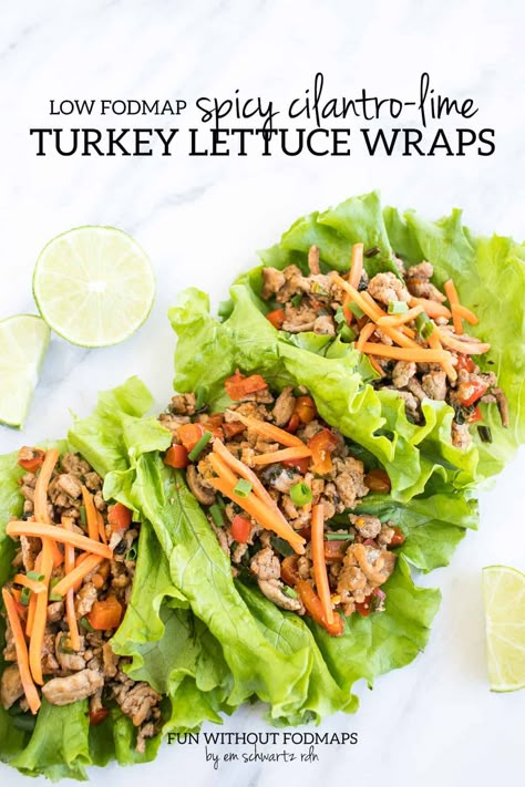 Turkey Larb, Supper Salads, Fodmap Meals, Salads Healthy, Fodmap Lunch, Fodmap Recipes Dinner, Low Fodmap Recipes Dinner, Low Fodmap Chicken, Fodmap Food