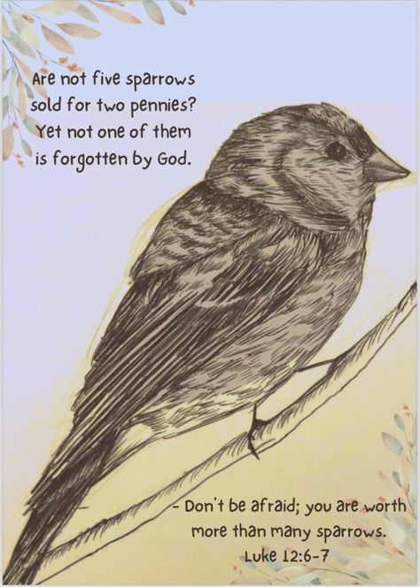 Sparrow Illustration, Bible Verse Encouragement, Verse Encouragement, Beautiful Bible Quotes, Scripture Verse Art, Friend In Need, Verse Poster, Bible Verse Posters, Christian Affirmations