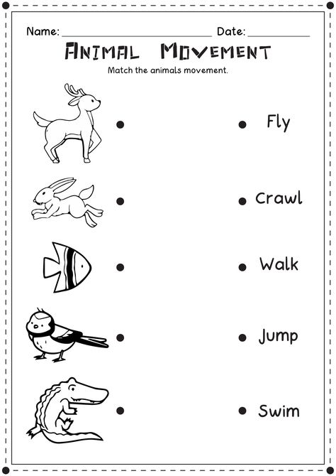 Animal Lessons For Kindergarten, Animal Worksheets Preschool, Animals Worksheets For Kids, Farm Animals Worksheets For Kids, Animals Movement Worksheet, Animal Needs Worksheet, Types Of Animals Worksheet, Uses Of Animals Worksheet, Domestic And Wild Animals Worksheets