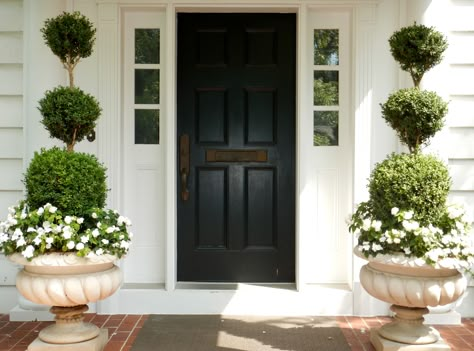 Spiral Boxwood Front Porch, Topiary In Planters, Boxwood Spiral Topiary Front Porch, Boxwood Topiary Front Porch, Outdoor Topiary Trees Front Porches, Topiary With Bow, Eugenia Topiary Front Door, Topiary Front Porch, Front Door Topiary Ideas