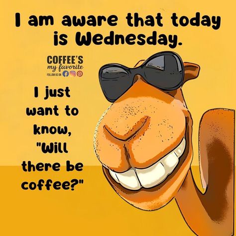 Wednesday Coffee, Hump Day Humor, Wednesday Humor, Good Thursday, Coffee Quotes Funny, Happy Wednesday Quotes, Wednesday Quotes, Good Morning Sunshine Quotes, Cute Good Morning Quotes