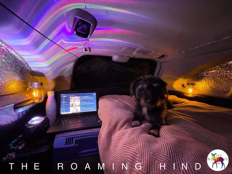 Car Camping, Honda CRV no build Stealth Car Living, Crv Camper, Crv Camping, Car Camping Essentials, Stealth Camping, Cars Room, Car Camper, Van Living, Car Hacks