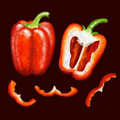 Bell Pepper Photography, Bell Pepper Painting, Bell Pepper Drawing, Natural Forms Gcse, Pepper Steak Recipe, Natural Form Art, Vegetable Illustration, Gcse Art Sketchbook, Food Sketch