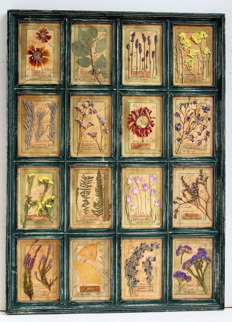 Pressed Flower Decor, Pressed Flowers Framed, Pressed Flowers Diy, Pressed Flowers Frame, Frame Work, Natural Things, Pressed Flower Crafts, Entryway Ideas, Pressed Flower Art