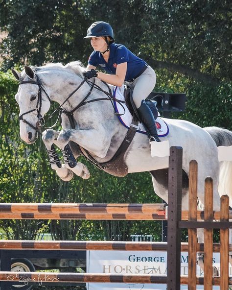 Showjumping Aesthetic, Eve Jobs, Dapple Grey Horses, Show Jumping Horses, Equestrian Aesthetic, Beautiful Horse Pictures, Funny Horses, Equine Photographer, Horse Aesthetic