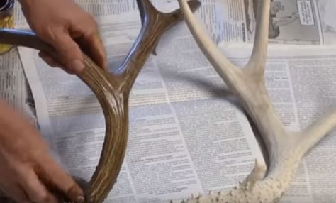 Pretty easy peasy! Antler Mounts Ideas, Mounting Deer Antlers Diy, Shed Antler Display Ideas, Deer Shed Ideas, Diy Antler Projects, Antler Display Ideas, Diy Taxidermy, Deer Antlers Diy, Deer Horn Ideas