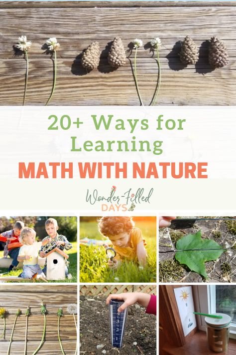 20+ Ways for Learning Math With Nature - Wonder-Filled Days Maths In Nature, Ideas For Learning, Free Math Printables, Nature School, Preschool Lesson Plans, Math Printables, Preschool Books, Preschool Lessons, Free Math