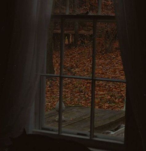 Follow for more music aesthetic, book aesthetic, halloween aesthetic, dark academia outfits, fall aesthetic outfits, converse, bedroom ideas, and doc martens outfits!!! ♥️ Fall Widgets, Dark Autumn, I Love Fall, Halloween Aesthetic, Autumn Vibes, Love Fall, Autumn Aesthetic, Fall Aesthetic, Gilmore Girls