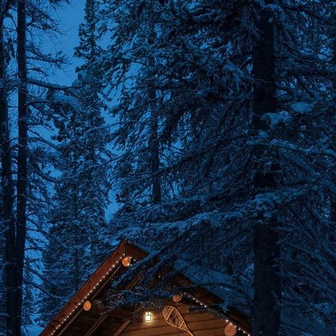 Banff & Lake Louise Tourism on Instagram: "Make lasting memories in historic hotels, luxurious lodges and cozy cabins this winter." Banff Lake, Winter Lodge, Cozy Cabins, Lake Louise, Cozy Cabin, Tourism, Cabin, Lake, Hotel