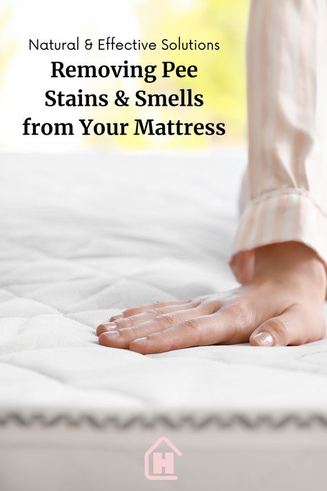 A hand pressed on a mattress. Get Rid Of Pee Smell On Mattress, How To Get Pee Out Of A Mattress, Pee Out Of Mattress, Pee Stains, Pee Smell, Mattress Stains, Urine Stains, Laundry Stains, Healthy Lifestyle Quotes