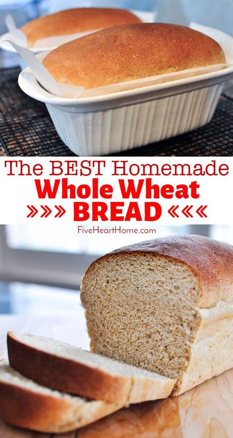 Best Whole Wheat Bread, Homemade Whole Wheat Bread, Whole Wheat Bread Recipe, 100 Whole Wheat Bread, Homemade Baked Bread, Wheat Bread Recipe, Diet Breakfast Recipes, Whole Wheat Bread, 140 Pounds