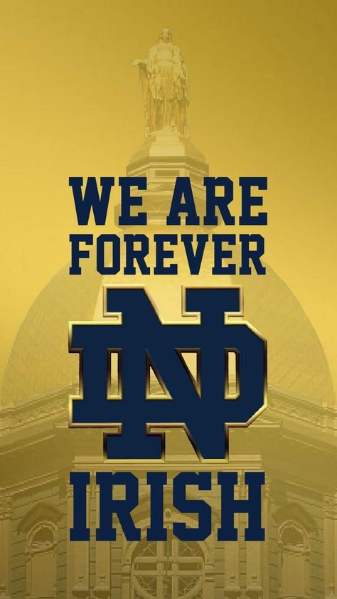 Notre Dame Wallpaper, Notre Dame Apparel, Notre Dame Indiana, Notre Dame Logo, Noter Dame, College Wallpaper, Rocks Painting, Go Irish, Wolverines Football