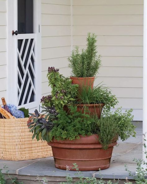 18 DIY Backyard Ideas That Will Turn Your Outdoor Space Into an Oasis Planter Arrangements Outdoor, Garden Front Porch, Planter Arrangements, Citrus Garden, Climbing Hydrangea, Diy Herb Garden, Container Gardening Flowers, Vertical Gardens, Outdoor Diy Projects