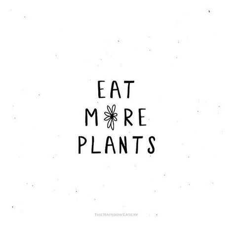 Eat more plants, go vegan Vegetarian Quotes, Handlettering Inspiration, Eat More Plants, Animals Planet, Vegan Facts, Vegan Makeup Brushes, Vegan Tattoo, Plants Quotes, Bean Salad Recipes