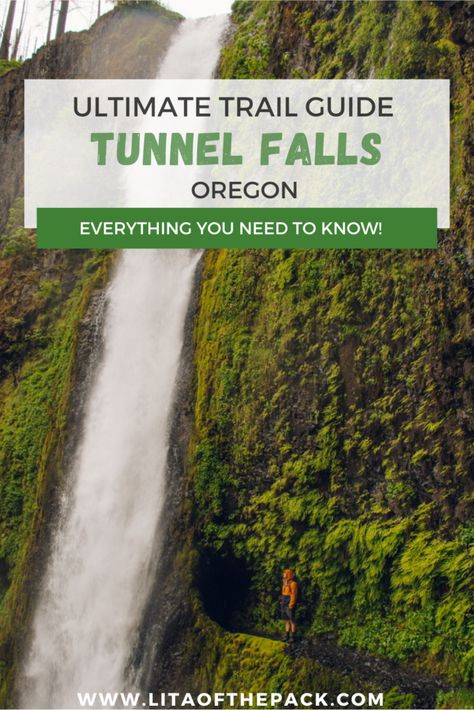 Travel to the heart of the Columbia River Gorge and hike to a magical spot where you walk through a moss covered cave behind a waterfall. Journey to Tunnel Falls in Oregon and see why so many people are talking about this hike. Get your complete guide to the Tunnel Falls trail here including what to expect, the best time to go, and tips for packing! You will be in awe of this magical landscape in the lush Oregon forest. So, add this trail to your bucket list. Tunnel Falls Oregon Hike, Tunnel Falls Oregon, Oregon Forest, Oregon Hikes, Pacific Northwest Travel, Columbia River Gorge, Columbia River, Oregon Travel, Pacific Northwest