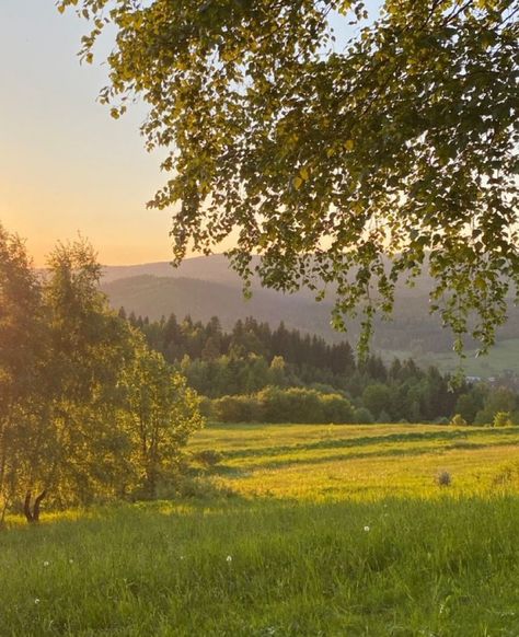 Summers Day Aesthetic, Sunny Evening Aesthetic, Sunrise Wake Up, Sunset Through Trees, Sunny Spring Aesthetic, Nature In Summer, Warm Nature Aesthetic, Summer Aesthetic Mountains, Calm Summer Aesthetic