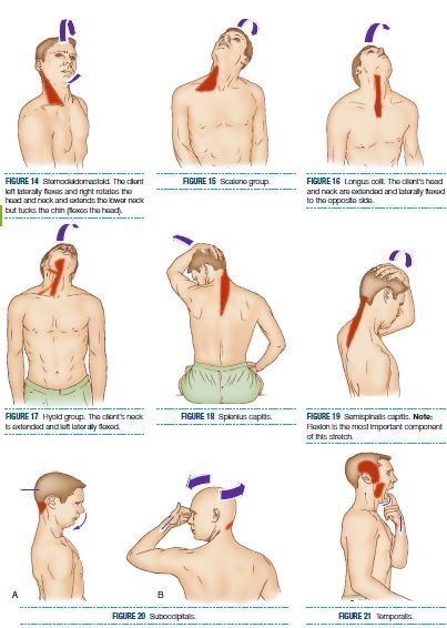 Gontlets Design, When To See A Chiropractor, Neck Therapy Exercises, Neck Pain Exercises, Neck And Shoulder Exercises, Bolesti Chrbta, Body Massage Techniques, Physical Therapy Exercises, Neck Exercises