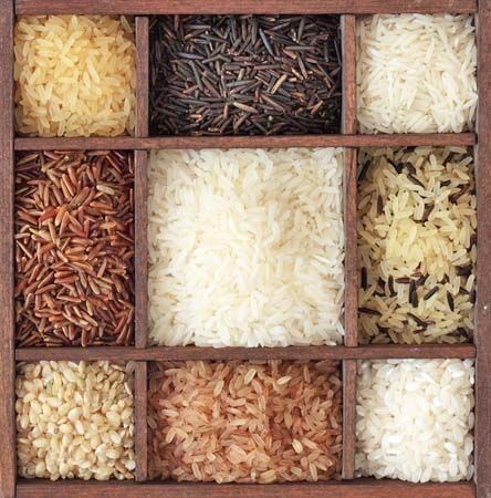 The answer to "Is Rice Gluten Free?" and much more - http://glutenfreerecipebox.com/is-rice-gluten-free/ #glutenfree Gluten Free Rice Recipes, Different Types Of Rice, Types Of Rice, Rice Bar, Pasta Brands, Gluten Free Info, Rice Packaging, Rice Mill, Arroz Frito