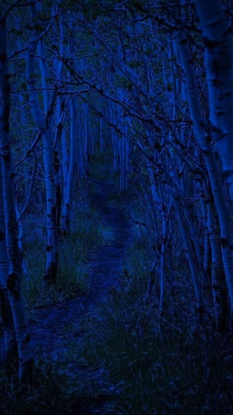 Blue Trees, Blue Aesthetic Dark, Everything Is Blue, Kind Of Blue, Blue Forest, Pierre Auguste Renoir, Color Studies, Black Aesthetic Wallpaper, Aesthetic Colors