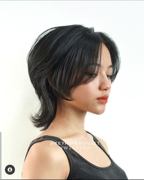 Asian Short Hair Wolfcut, Wolf Cut Undercut, Wolfcut In A Ponytail, Mullet Wolf Hime Cut, Asian Wolfcut Woman Short, Jellyfish Haircut X Wolf Cut Short, Asian Hairstyles Round Face, Edgy Undercut, Wolf Cut Hairstyle