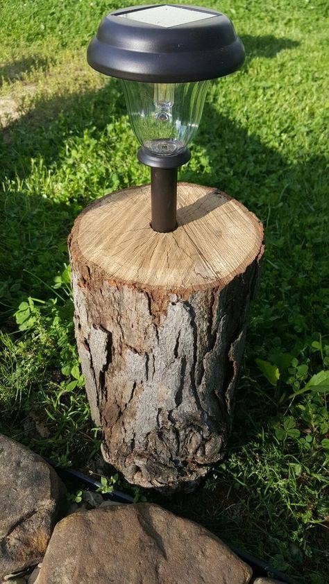 Solar Landscape Lighting, Solar Landscape, Backyard Lighting, Backyard Fire, Deck Lighting, Fire Pit Backyard, Tree Stump, Backyard Projects, Shower Remodel