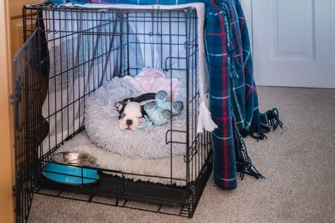 Pet parents cover dog crate with blanket to provide a sense of privacy and comfort to dogs. It can also help them feel more secure when they are in the crate... First Night With Puppy, Metal Dog Kennel, Ikea Dresser Hack, Dresser Hack, Diy Dog Crate, Corgi Dachshund, Dog Crate Cover, Puppy Proofing, Ikea Dresser