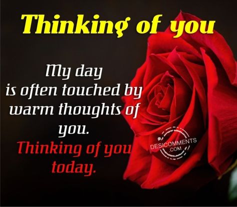 Thinking Of You Poems, Thinking Of You Flowers, Just Thinking Of You Quotes, Thinking Of You Images For Him, I’m Thinking Of You, Just Thinking Of You Quotes For Him, Thinking Of You Today Support, Thinking Of You Quotes For Her, Thinking Of You Quotes Friendship