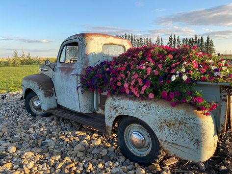 Old Truck With Flowers, Truck Bed Flower Bed, Old Truck Flower Bed Garden Ideas, Old Truck Flower Bed, Sliding Gate Ideas, Farm Landscaping, Truck Garden, Garden Boutique, House Entryway