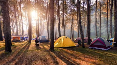 If you're looking for the perfect East Bay campsites you can go to year-round, check out our list of the best camping spots in the East Bay... Camping Stories, Corn Growing, Agro Tourism, Washington Camping, Hopewell Rocks, Bed Tents, Camp Cottage, Tourism Design, Forest Vibes