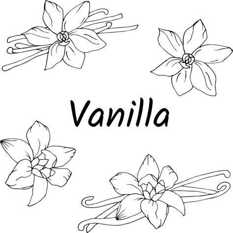 Vanilla Plant Tattoo, Vanilla Bean Flower Tattoo, Vanilla Bean Tattoo, Vanilla Flower Drawing, Vanilla Flower Tattoo, Vanilla Drawing, Vanilla Tattoo, Vanilla Plant, Matching Tats